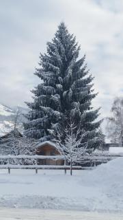 Hotel Wieser - Mittersill - 8
