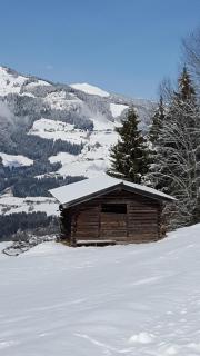 Hotel Wieser - Mittersill - 7
