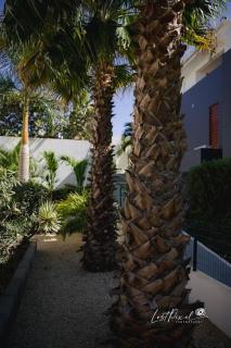 Goudhaen Luxury Private apartments Jan Thiel Beach - Jan Thiel - 2