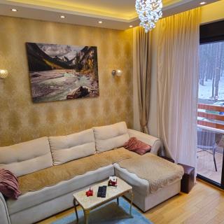 Apartman Pineta - Zlatibor - 8