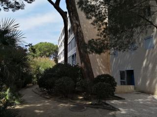 Studio calme à Giens , 2 pas du port et des plages - Hyères - 3