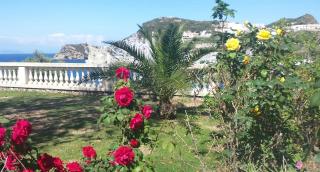 Oasi del mare - Ponza - 2
