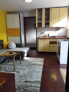 Sunshine apartment near the zoo, free parking - Sarajevo - 4