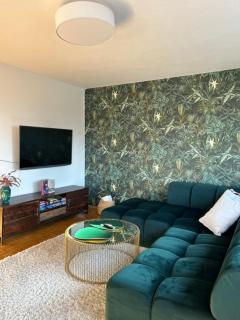 Feriendomizile Menholz - 9