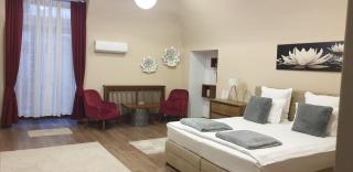 Imperial Room1 - ultracentral - jacuzzi cu hidromasaj - 9