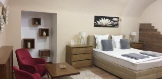 Imperial Room1 - ultracentral - jacuzzi cu hidromasaj - 6