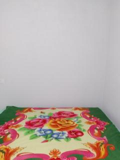 Casa de praia - Maragogi - 0