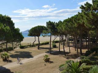 Appartement 2 pièces, 5 couchages, front de mer - Argeles-sur-Mer, Parking, Animaux admis - FR-1-225-332 - Argelès-sur-Mer - 1