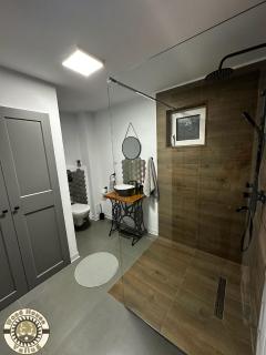 Wood House Valiug - 2