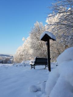Zum Pieck Schwarzenberg - Schwarzenberg/Erzgebirge - 1