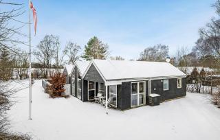 Amazing Home In Farsø With Sauna - Farsø - 4