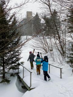 C12 Homey Bretton Woods slopeside townhome for your family getaway to the White Mountains - Carroll - 9