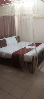 MAMU'S RESIDENCE near JKIA - Nairobi - 3