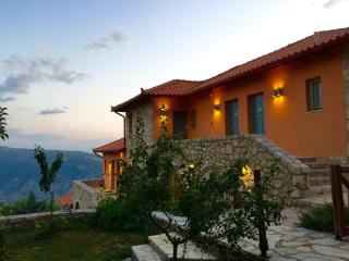Aegli Arachova - Arachova - 7