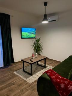 Vila Bosa - Stara planina - Crni Vrh - 4