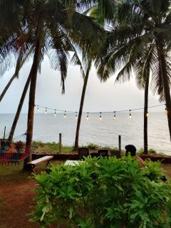 Perch by the sea - 6