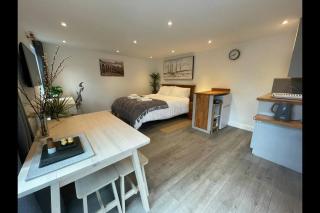 Luxury Cabin with Hot-Tub & Cold Plunge! - 2