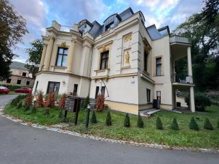 Villa Louis Hirsch - Gera - 7