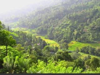 Ornateview Hotel - 5