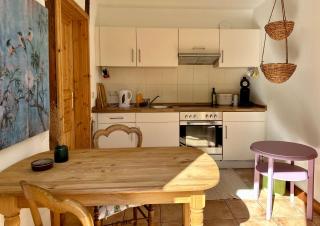 Mecklenbü mit Teich, Kamin, Sauna und Hotpott - Dargun - 7