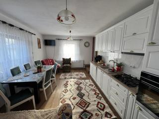 Pensiunea Casa Mădă - Baia de Fier - 8
