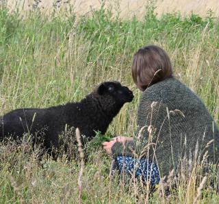 Autarker Schäferwagen mit Kamin ganzjährig nutzbar - Dargun - 3