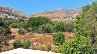 Dream Island Hotel - Livadia - 3