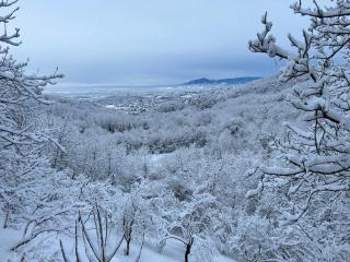 “Bear Hill” Apartments - 8