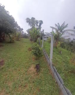 Chácara Recanto da Paz - Igaratá - 5