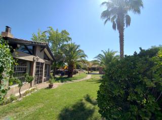 La Vieja Finca - Lujan de Cuyo - 0