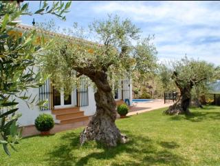 Casa Nobleza - 7
