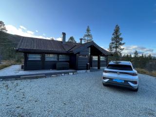 Hito - cabin between Flå and Eggedal - Flå - 8