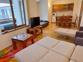 SNOW PEAK TODORKA AND VIHREN APARTAMENT /NEXT TO THE LIFT/ 7 PERSONS/ - Bansko - 8