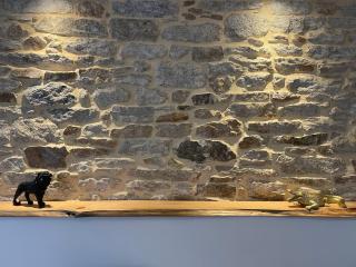 LE CALLOCH 2D - Studio 4 Étoiles - Quartier Gare - Wifi - Netflix - 4