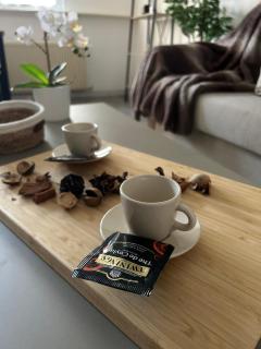 T2 cocooning proche Paris et Disney - Lagny - 5