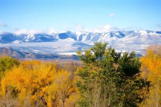 Peach Valley Retreat - 4