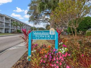 Full Ocean View ~ Watch Dolphins - 6