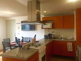 Lux appartment in Polanco! - Città del Messico - 1