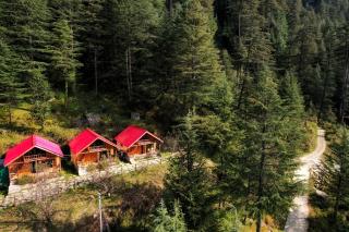 Himalayan Cedar Nest - 7