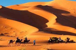 Riad Mamouche - 7