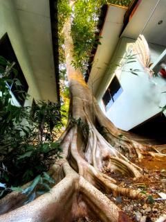 Kamrai Resort - Ko Chang - 4