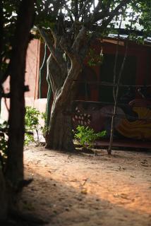 Yala Wild House - Yala - 6