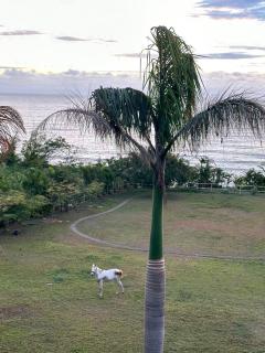 鳳凰城堡2F -  - 1