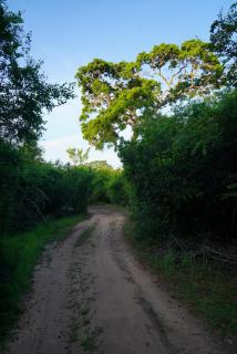 Yala Wild House - Yala - 9