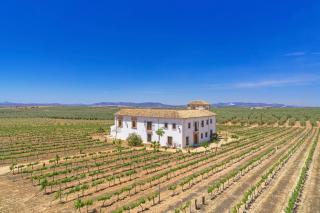 Cortijo Don Cristobal - Mollina - 0