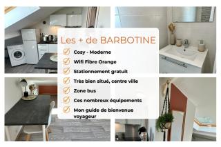 La Barbotine - Cosy - Centre ville - Bourg-en-Bresse - 7