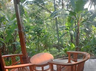 Purana Guest House - Tabanan - 2