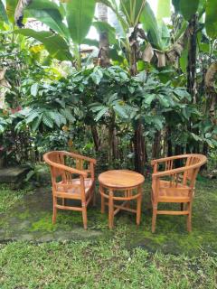 Purana Guest House - Tabanan - 4
