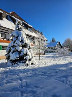 Allgäu Residenz Natur & Spa GmbH - Wiggensbach - 7