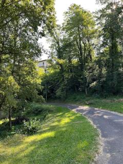 Serene Wilderness Getaway for 15 next to a historic castle - - 6